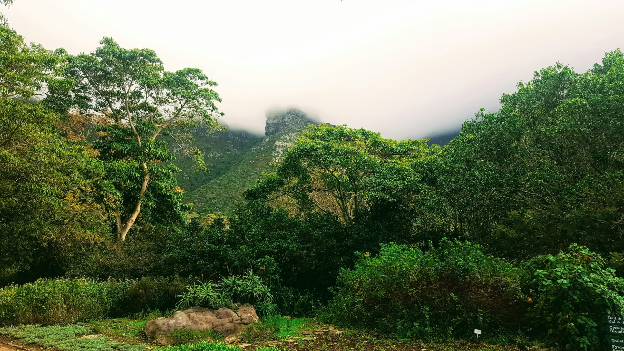 val-van-sittert-opYQfg_j4ls-unsplash-scaled